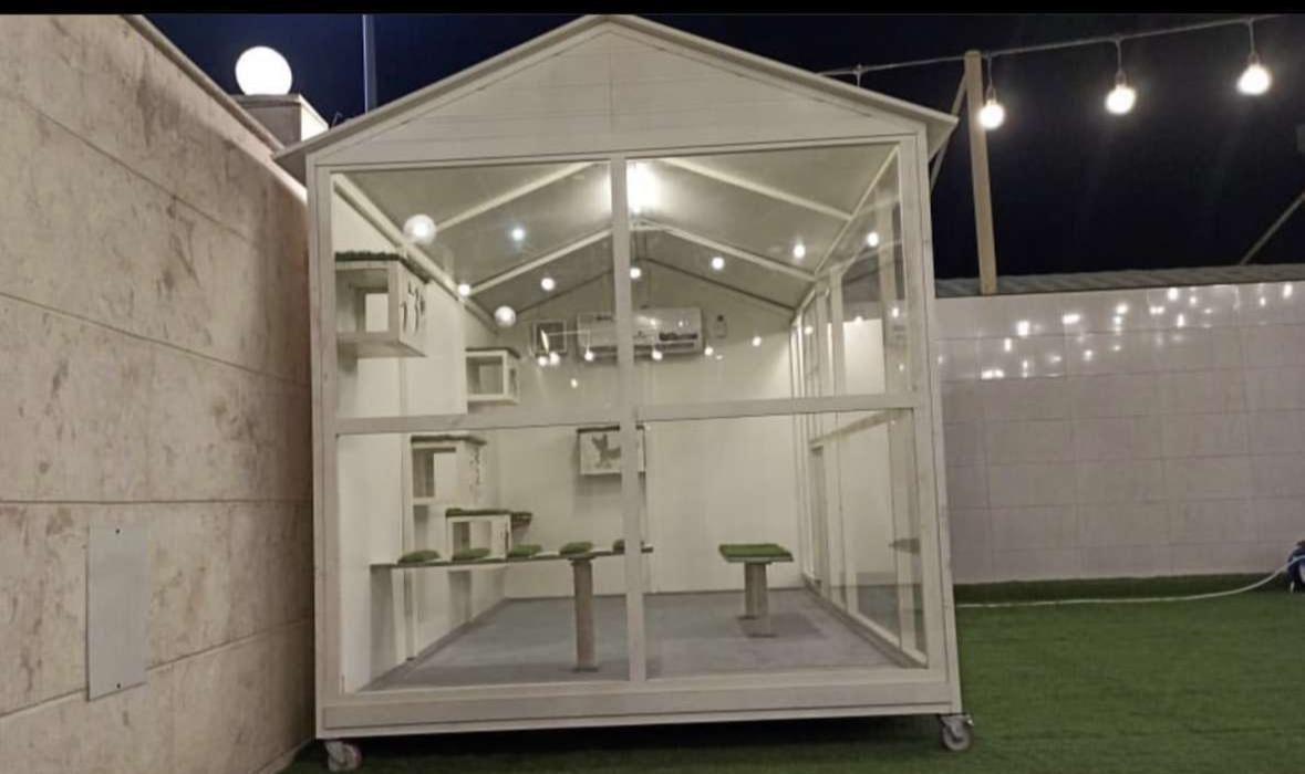 WhatsApp Image 2026-02-10 at 10.01.00 PM